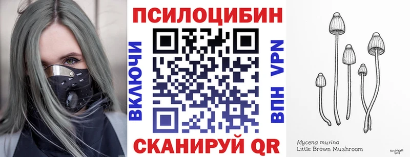 Псилоцибиновые грибы прущие грибы  Ардатов 