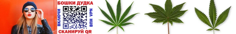 мориарти телеграм  Ардатов  Канабис SATIVA & INDICA  где купить наркоту 